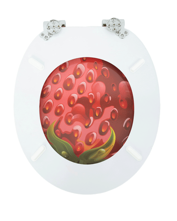 WC-Sitz für Olympia Ceramica – Made in Italy