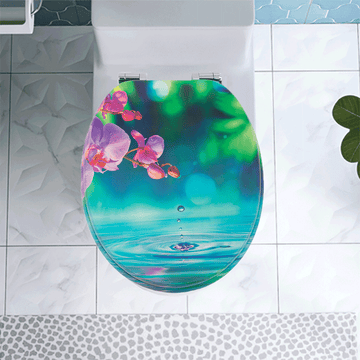 Kohler vs SINOBATH toalettsete: Den store sammenligningen