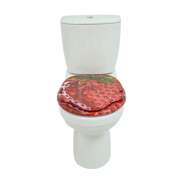 MDF vs Duroplast capac WC pentru American Standard: Ce material să alegeți?