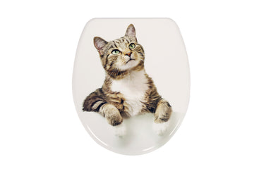 Holz-WC-Sitz reinigen und pflegen: Natürliche Schönheit erhalten