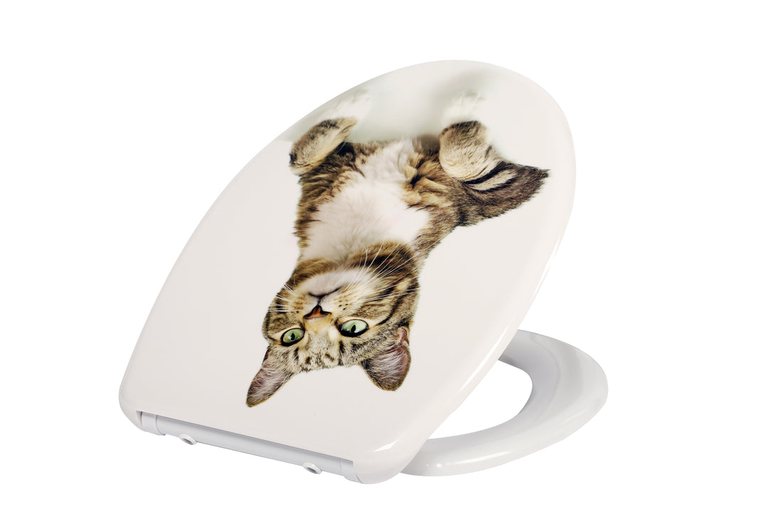 Absenkautomatik WC-Sitz: Häufige Probleme und einfache DIY-Lösungen