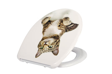 Absenkautomatik WC-Sitz: Häufige Probleme und einfache DIY-Lösungen