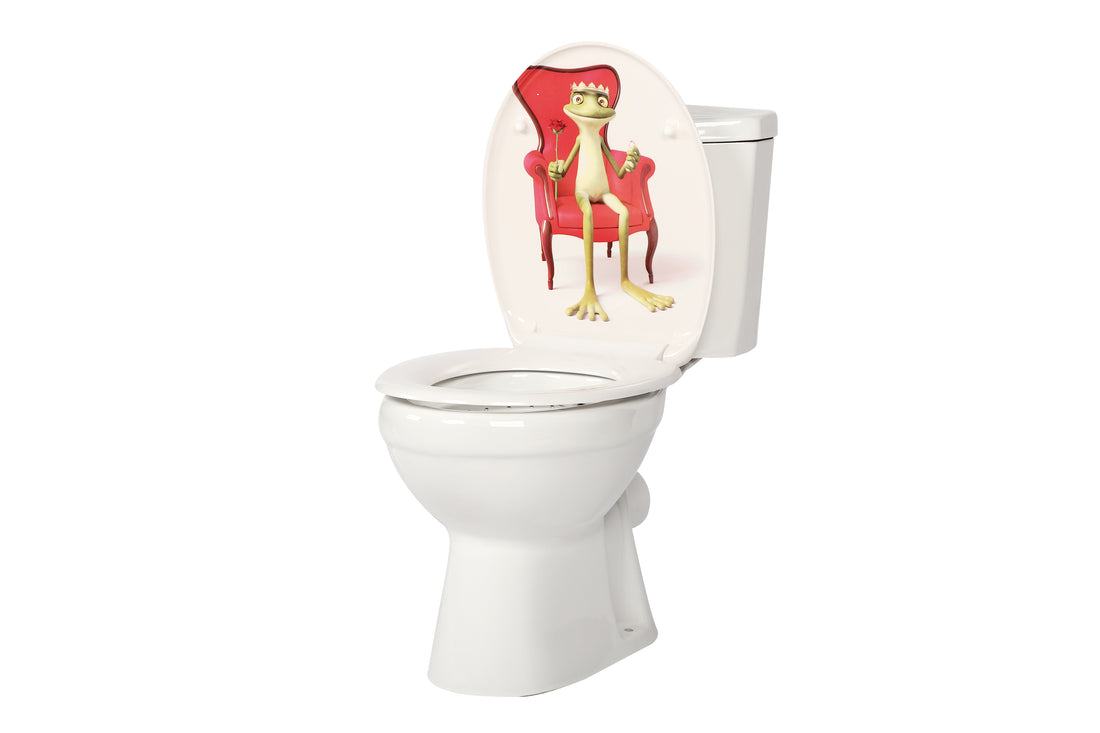 Montageanleitung WC-Sitz: Tipps für unebene Keramikflächen