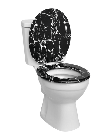 Best Toilet Seat for Sphinx: Complete Buying Guide 2026