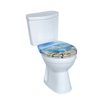 WC-Sitz Funktionen im Überblick: Absenkautomatik bis Quick-Release