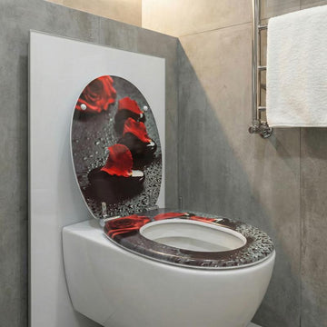 WC-Sitz für Roca Gap Square: Design-Analyse und perfekte Optionen