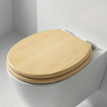 WC-Sitz für Roca Meridian: Design-Analyse & Optionen