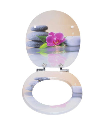 Haustiere und Toilettenhygiene: Was Sie beachten sollten