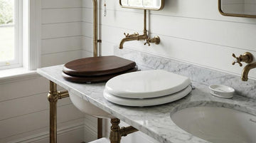 Flaminia vs SINOBATH WC-Sitz: Der große Vergleich 2026