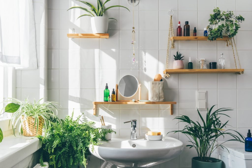 WC-Sitz Herstellung: Wie entsteht ein hochwertiger Toilettensitz?