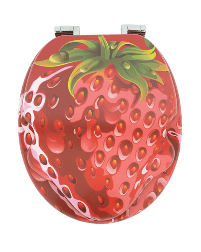 H179 WC-Sitz/Toilettensitz 