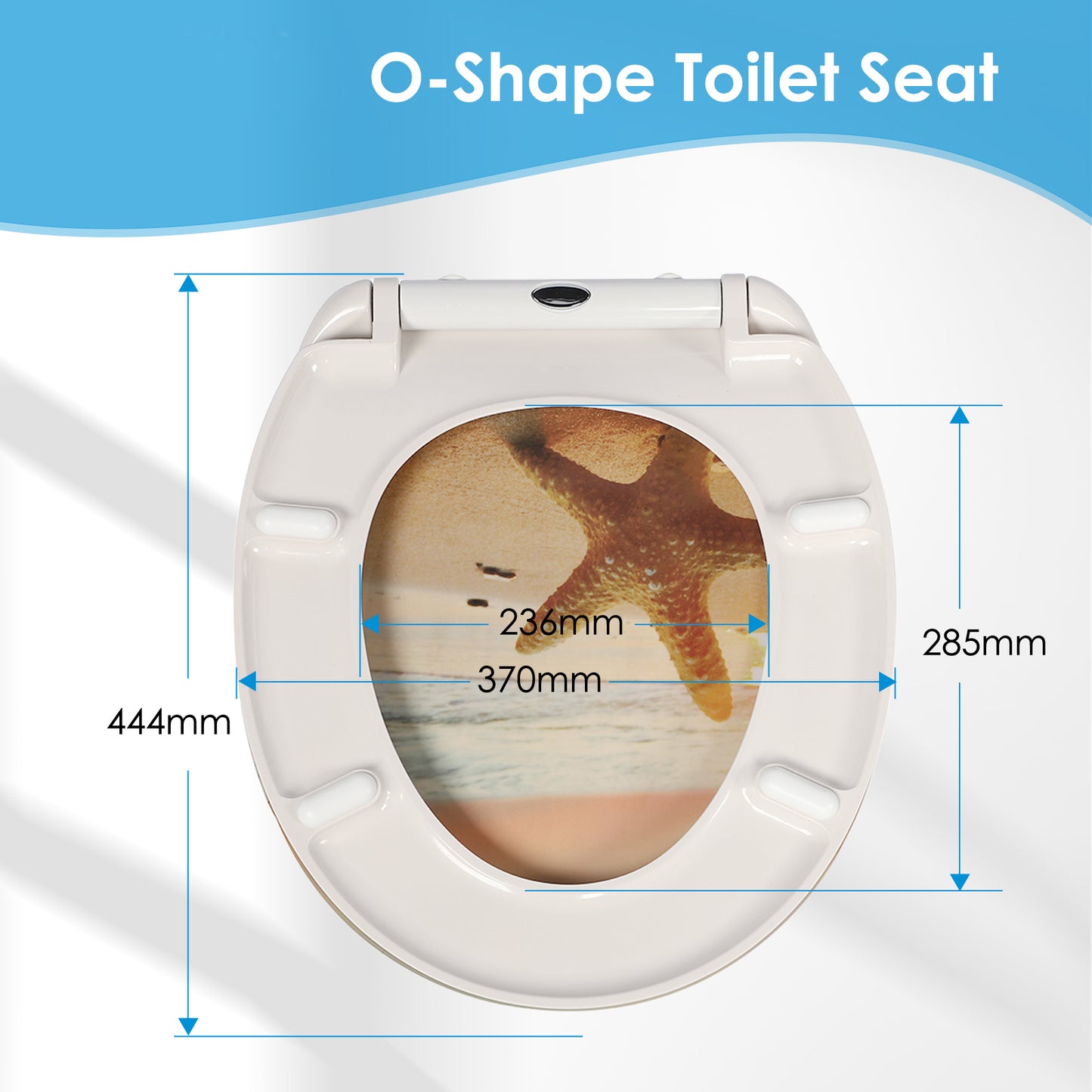SINOBATH Duroplast WC-Sitz O-Form, Seestern-Optik Absenkautomatik — UF12-052
